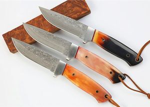 Remise Chaude Couteau de chasse droit de survie damas VG10, lames à pointe de chute en acier, manche en corne de vache, couteaux à lame fixe avec gaine en cuir