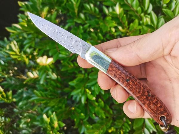 Oferta especial H2375 Cuchillo de cuchilla plegable 67 Capas VG10 Damasco BLADE Snakewood Wtih Mango de latón Camping Outdoor Camino EDC Cardilla de bolsillo Cuchares