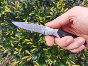 Speciale aanbieding H2378 Pocket Folding Blade Knife 67 Lagen VG10 Damascus Steel Blade Ebony Wtih Brass Handgreep Outdoor Camping Wandelen EDC Folder Fruit Knives