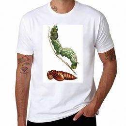 Sphinx Moth and Pupa T-Shirt uni sublime sweat t-shirts pour hommes cott Y8xN #