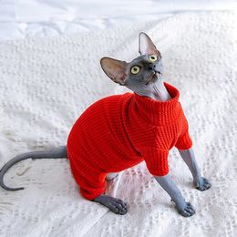 Sphynx chat vêtements automne hiver chaud animal chat combinaison sweats à capuche doux chaton chat pyjamas Costumes pour Sphinx Devon chats 240315