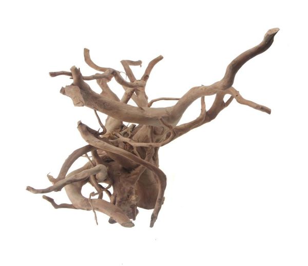 Spider Grapewood Driftwood Aquarium Decoración natural Decoración de peces Tropicales Decoración de hábitat de planta de pescado Tropical XS S M L XL8905484