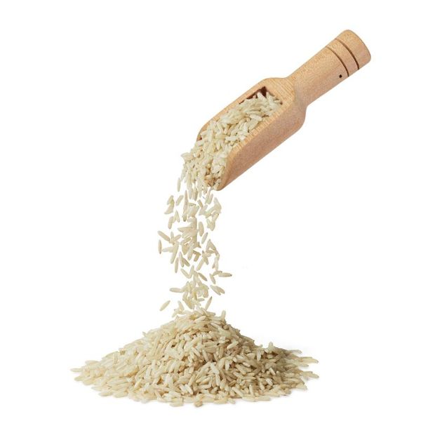 Cuillères 10 pièces/20 pièces Mini cuillère en bois épices lait en poudre sel de bain pour haricots riz thé farine sucre goutte