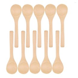 Cuillères 10pcs / réglage cuillère en bois