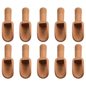 Cuillères 10pcs en bois petite petite mini cuillère sel sucre cuillère à café outil de cuisine ustensiles de cuisine