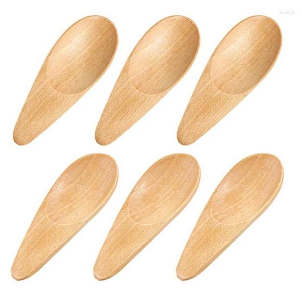 Cucharas 6 PCS Cuchara de madera Cuchara de condimento de madera Mini sal para hojas de té Grano de café Leche en polvo Helado, etc.