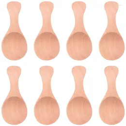 Cuillères 8pcs petite cuillère à sel en bois condiments en bois massif à la main miel cuillère à café assaisonnement sucre café thé confiture moutarde crème glacée