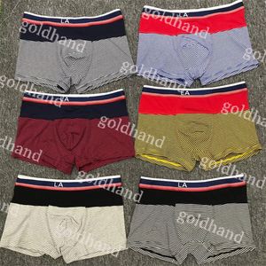 Sport hommes boxeurs Desifner pur coton caleçon lettre imprimé sous-vêtements pour homme Boxer Shorts