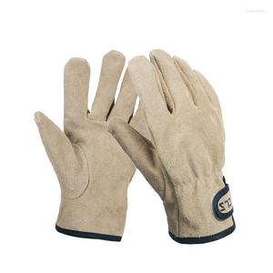 Guantes deportivos para acampar al aire libre BBQ Fuego resistente a la cocina Cocina Mitts Anti slip Glove Wearing Protective