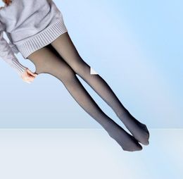 Chaussettes de sport hiver chaud collants femmes Super élastique noir mince pour décontracté mode Plus velours épais collants 20213207677