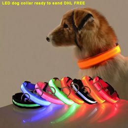 Spot marchandises Colliers en nylon pour animaux de compagnie en cuir LED Collier de chien Laisses Lumière de sécurité nocturne Clignotant Lueur dans le noir Petit chat Laisse Chiot Designer