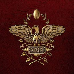 SPQR soldat romain Logo symbole Art soie impression affiche 24x36 pouces 60x90 cm 089317h