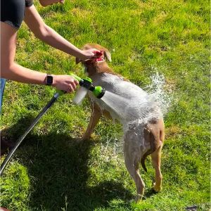 Pulvérisateurs tuyaux de buse de pulvérisateur à haute pression, pistolet de douche pour chiens, réglable à 3 mode, nettoyage de lavage pour animaux de compagnie, mousse d'eau de bain, pulvérisateur de savon, propre à