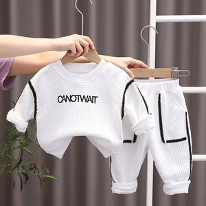 Spring herfst kinderen kleding sets sweatshirt met lange mouwen casual broek 2 stks jongens sportpak peuter babymeisjes kleren outfit