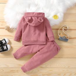 Printemps automne enfants coton vêtements costume bébé garçons filles vêtements enfants sport sweats à capuche pantalons 2 pièces ensembles mode enfant en bas âge survêtements45pu