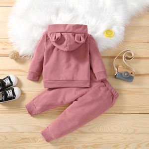 Lente Herfst Kinderen Katoenen Kleding Pak Baby Jongens Meisjes Kleding Kinderen Sport Hoodies Broek 2 Stuks Sets Fahion Peuter Trainingspakken45pu