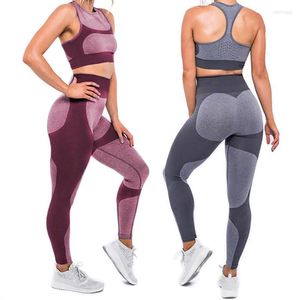 Pantalones deportivos para mujer, mallas de cintura alta, elásticos, para Yoga, Fitness, correr, gimnasio, entrenamiento, primavera y otoño