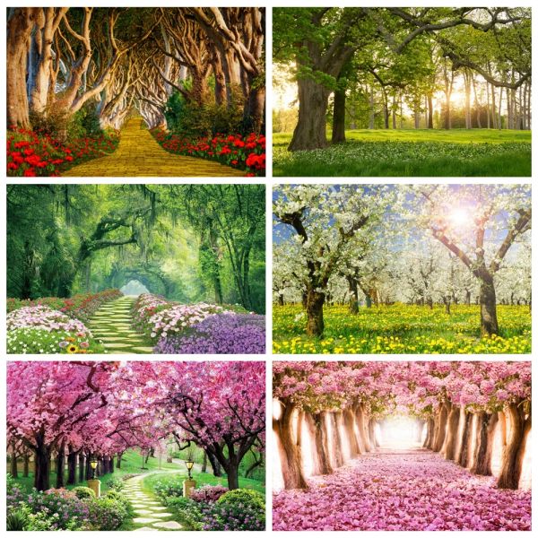 Fotografía de la escena de primavera Bosque Forest Flores Blossom Tree Pierreras Paisajías naturales Bebé Photo Fondo de fondo Estudio