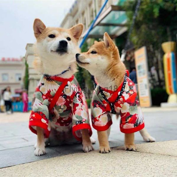 Vêtements d'été du printemps pour chat chien de style japonais vêtements pour animaux de compagnie kimono pour petits chiens moyens shiba inu corgi chiot costume tenue hkd230812