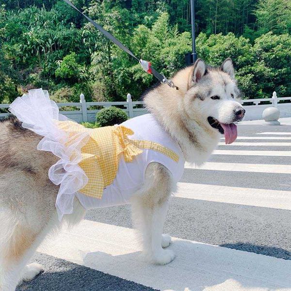 Vestido de primavera y verano para cachorros, ropa para mascotas medianas, disfraz de Labrador Golden Retriver, vestidos para perros grandes, Disfraz Perro