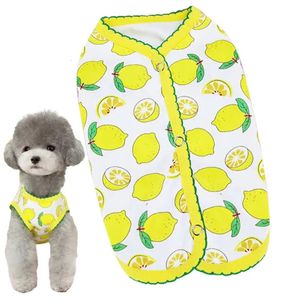 Vêtements d'animaux de compagnie de printemps Soft Soussless Vest Dog Costume Vêtements avec motif de fraise chemises confortables Snap 240429