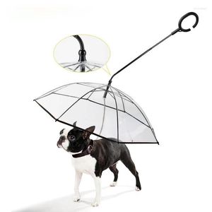 Lente zomer transparante huisdieren hond c-type parapluproducten kleding