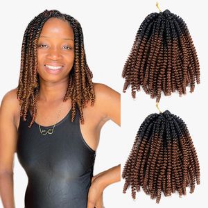 Spring Twist Synthétique Crochet Tresse Cheveux 12 8 Pouces Ombre Court Afro Passion Printemps Twists Cheveux