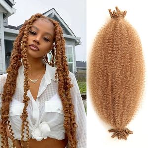 Extensions de cheveux Afro Twist élastiques Marley Twist tressage cheveux synthétiques Locs doux Crochet cheveux synthétiques printemps torsion cheveux