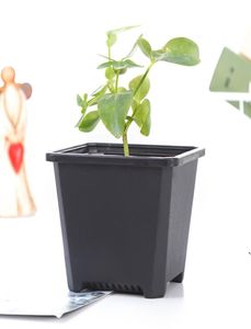 Vierkante kinderdagverblijf Plastic bloempot Planter 3 maat voor binnenhuis bureau bed of vloer en buitentuinlawn of tuinplanting S3582535