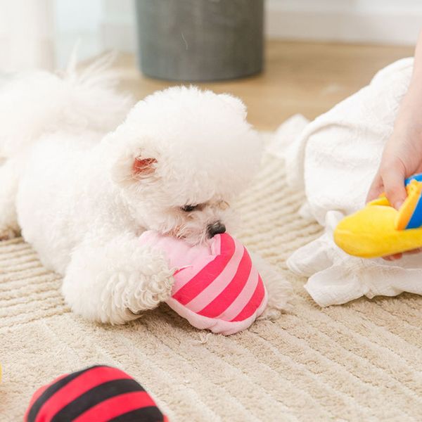 Squeak cachorro gato perro pantuflas juguetes de peluche mascota masticar juguete para perros pequeños Pomerania caniche mascotas accesorios juguetes para perro