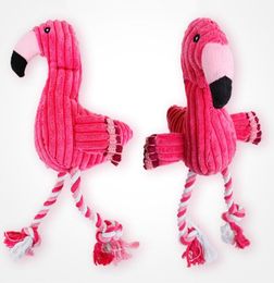Squeaky Fun Dogs Animal Shape Toys Gift Set Grown Not Notmed Rabbit Honking Squirrel pour chiens mâcher Squeaker Dog Red Bird Toys5629457