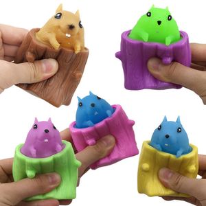 Squeezing Squirrel Cup Toys Decompressie Fidget antistress Sensorische stressverlichting Gift voor kinderen Volwassenen Verstoping en zoeken 1805