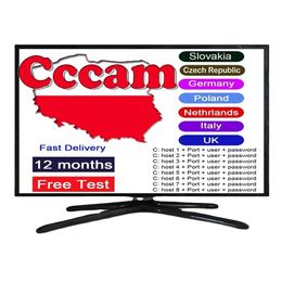 STABLE Europe Server 8 lignes CCCAM Egyglod pour le Portugal Pologne Oscam Europea Allemagne pour le récepteur de télévision par satellite Test gratuit