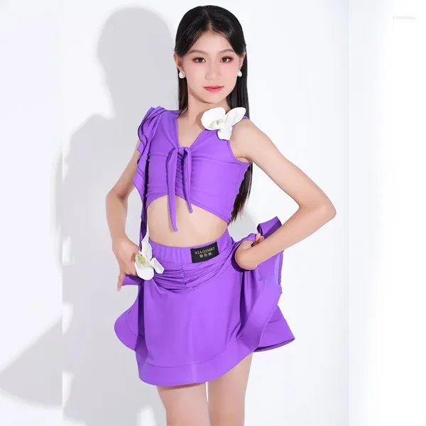 Stage Wear 2023 Costumes de danse latine pour filles Purple Tops Split Jupes Costume Chacha Rumba Tango Robe Performance DQS13763