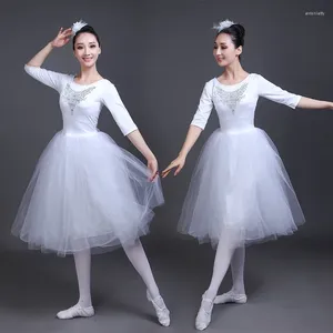 Stage Wear 2024 volwassen romantische ballet tutu repetitie rok rok zwanen kostuum voor vrouwen lange tule jurk witte kleur