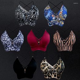 Stage Wear 2024 Sexy Latin Dance Bra Dancer's Top Tango Salsa Cha Dancing Samba Rumba Ballroom Underwear Accessories