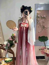 Portez des femmes anciennes chinoises traditionnelles élégantes Hanfu Dress Fairy broderie Stage Dance Folk Dance Costume Retro Song Dynasty D240425