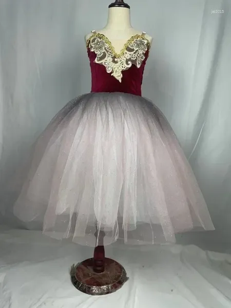 Stage Wear Ballet Tutu Jupe Femmes Robe Longue Robes Pour Filles Performance Vêtements Costumes De Cygne Ballerine Tulle