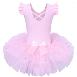 Portez des filles baohulu filles ballet tutu tulle robe sans manches gymnastique juge de justaude de diamant rose de rose pour ballerina fille