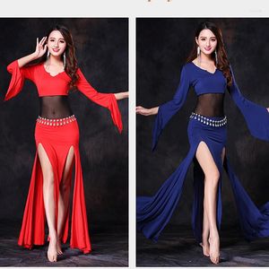 Stage Wear Bellydance Oriental Belly Baladi Sandi Oriental Égyptien Swing Danse Costumes De Danse Soutien-Gorge Ceinture Jupe Robe Robe Ensemble Tenue