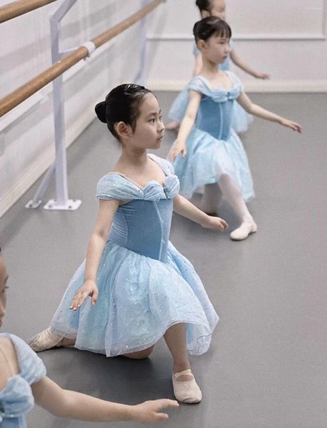 Etapa desgaste niños profesional ballet tutu niña vestido rendimiento ropa mujeres faldas bailarina cisne lago danza