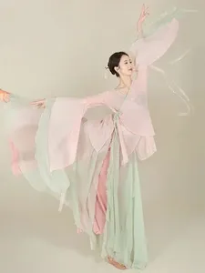 STAGNE CHINOS CLASSIQUE DANSE Folk Practice Vêtements traditionnels nationaux Yangko Hanfu Vêtements Elegant Female Costume de danse moderne