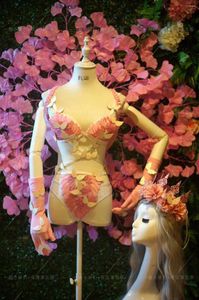 Stage Wear personnalisé Discothèque Bar Gogo Femme Modèle de voiture Piste Props Costume Rose Wing Set Bikini Performance