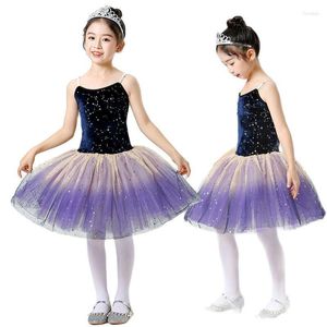 Stage Wear Girl Ballet Performance jurk Peuter Tuidard voor Black Swan Tutu Ballerina Kids Unitard Women