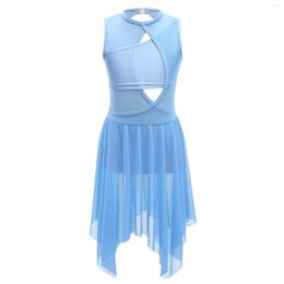 Stage Wear Girls Ballet Skating Gymnastics Costume Lyrical Dance Dress Mouwloze Backless Mesh Leotard Performance Dancewear