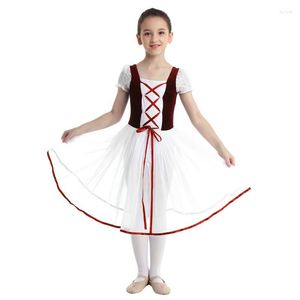 Stage Wear Gymnastics Leotard Ballerina Tutu -jurk voor Toddler Teen Kids Girls Mesh Lacework Short Bubble Sheeves Ballet Dancewear
