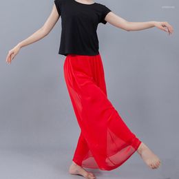 Stage Draag Latin Dancing Pant Modal Training Trousers Dance Pants Tango Waltz Costumes Women Ballroom Competition Belly