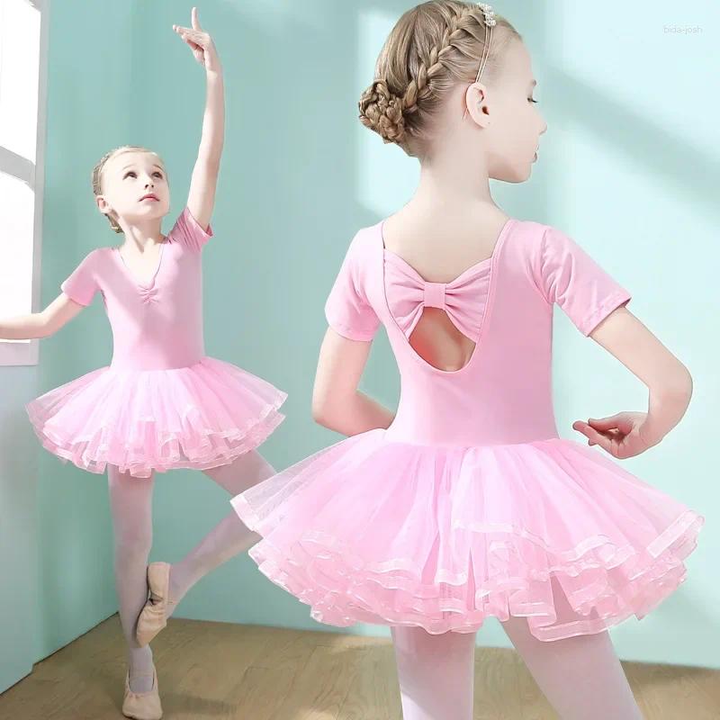 Stage Draag Long Sleeveved Children's Ballet Dress in zacht fluweel en roze gaasrok voor meisjesdansoefeningen