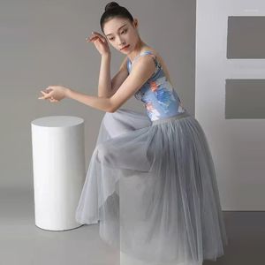 Stage Wear Professionnel Adultes Ballerine Swan Lake Ballet Danse Tutus Jupe Gris Maille Dentelle Longue Tutu Taille Élastique Tulle Jupes En Gros