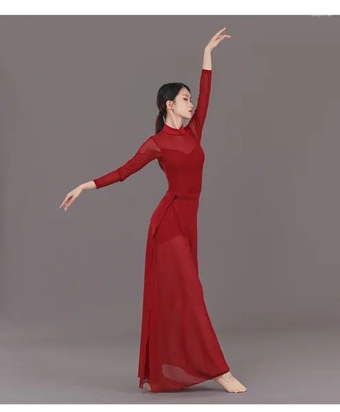 Stage Wear Solid Color Line Dance Vêtements Chinois Halloween Costume Latin Femmes Mesh Patchwork Robe Moderne Récital Classique Cheongsams